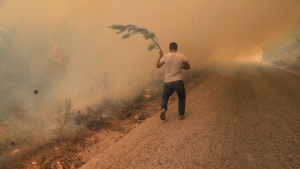 Lebanon wildfire