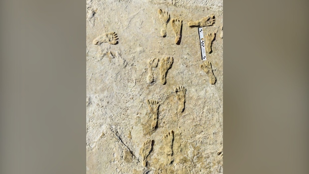 Le impronte umane più antiche del Nord America sono state scoperte nel New Mexico