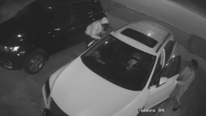 YRP vehicle theft suspects 