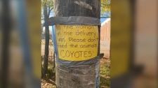 Coyote sign 