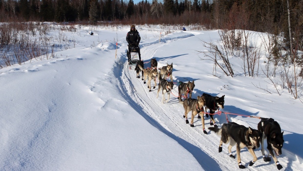 Ontario family fights government seizure of 200+ sled dogs; three have died in province’s care
