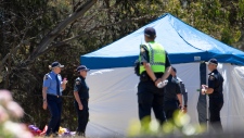 Australia bouncy castle tragedy