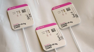 Rapid COVID-19 tests swabs are processed at Palos Verdes High School in Palos Verdes Estates, Calif., on Aug. 24, 2021. (Brittany Murray/The Orange County Register via AP, File) 