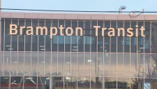 Brampton Transit