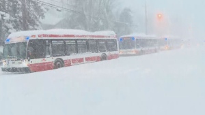 buses, storm, 