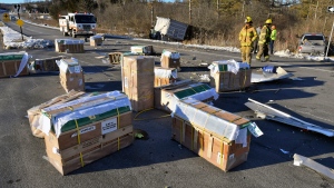 FILE - Crates holding live monkeys are scattered across the westbound lanes of state Route 54 at the junction with Interstate 80 near Danville, Pa., Friday, Jan. 21, 2022, after a pickup pulling a trailer carrying the monkeys was hit by a dump truck. They were transporting 100 monkeys and several were on the loose at the time of the photo. (Jimmy May/Bloomsburg Press Enterprise via AP) 
