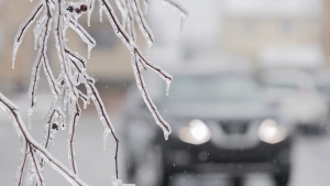 Ice is shown on the branch of a tree following freezing rain and strong winds in Laval, Que., Tuesday, April 9, 2019. THE CANADIAN PRESS/Graham Hughes 