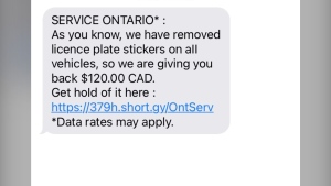 Text scam