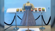 A blue and white checked gingham dress, worn by Judy Garland in the "Wizard of Oz," hangs on display, Monday, April 25, 2022, at Bonhams in New York. (AP Photo/Katie Vasquez)