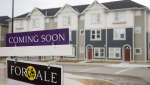 Houses for sale in a new subdivision in Airdrie, Alta., Friday, Jan. 28, 2022. The Canadian Real Estate Association says the pace of home sales fell in April as mortgage rates moved higher. THE CANADIAN PRESS/Jeff McIntosh