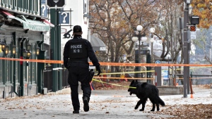 FILE - A K-9 unit police officer walks one of several sites of stabbings in Quebec City, Sunday, Nov. 1, 2020. THE CANADIAN PRESS/Jacques Boissinot 