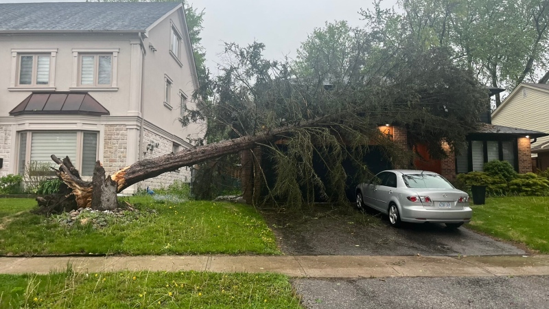 A tree has fallen on a home in Richmond Hill during a severe thunderstorm in the GTA Saturday afternoon. (Twitter/@aidan__sai)