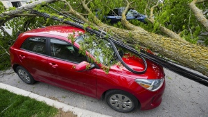Vehicles remain crushed under trees and power lines in the Ottawa Valley community of Carleton Place, Ont. on Tuesday, May 24, 2022, after a major storm hit parts of Ontario and Quebec on Saturday leaving extensive damage. 