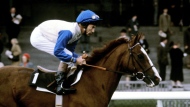 FILE - British jockey Lester Piggott rides Free Guest, in Newbury, England, Oct. 26, 1985. English jockey great Lester Piggott has died at the age of 86, it was announced on Sunday, May 29, 2022. He won the English Derby nine times in his haul of victories in horse racing’s top events and will be remembered for being one of the greatest jockeys of all time. Piggott’s death was confirmed to Britain’s PA news agency by horseracing trainer William Haggas, who is married to Piggott’s daughter Maureen. (PA via AP, FIle)