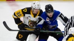 Hamilton Bulldogs' Ryan Humphrey, 22, and Saint John Sea Dogs' Ryan Francis battle, 14, for position during first period CHL Memorial Cup hockey finals action, in Saint John, N.B., Wednesday, June 29, 2022. THE CANADIAN PRESS/Ron Ward