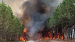 This photo provided by the fire brigade of the Gironde region SDIS 33, (Departmental fire and rescue service 33) shows flames consume trees at a forest fire in Saint Magne, south of Bordeaux, south western France, Wednesday, Aug. 10, 2022. ( SDIS 33 Service Audiovisuel via AP)