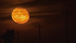 The moon, waning after being full on Sunday, rises above power lines, Tuesday, Aug. 24, 2021, near Royal City, Wash. The full moon in August is traditionally known as the Sturgeon Moon. (AP Photo/Ted S. Warren) 