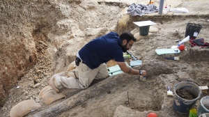 An Israeli archaeologist works next to the recently discovered 2.5-meter-long tusk of an estimated 500,000-year-old straight-tusked elephant, near the city of Gedera, Israel, Wednesday, Aug. 31, 2022. Israel Antiquities Authority prehistorian Avi Levy, who headed the dig, said it was "the largest complete fossil tusk ever found at a prehistoric site in Israel or the Near East. (AP Photo/Tsafrir Abayov)