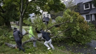 People work to drag a fallen tree limb from their street as post tropical storm Fiona causes widespread damage in Halifax on Saturday, September 24, 2022. THE CANADIAN PRESS/Darren Calabrese