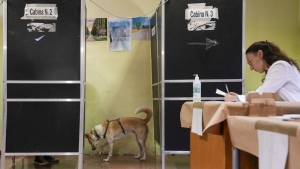 A Carolina dog waits for his owner to vote at a polling station in Rome, Sunday, Sept. 25, 2022. Italians were voting on Sunday in an election that could move the country's politics sharply toward the right during a critical time for Europe, with war in Ukraine fueling skyrocketing energy bills and testing the West's resolve to stand united against Russian aggression. (AP Photo/Alessandra Tarantino)