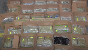 A quantity of drugs seized as part of a months-long investigation dubbed 'Project Gateway' are shown. (Niagara Regional Police Service)