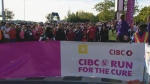 The 31st annual CIBC Run for the Cure was held Sunday morning at Ontario Place.