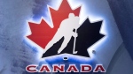 The Hockey Canada logo is seen at an event in Toronto on Nov. 1, 2017. Hockey Canada's board chairs, past and present, will answer to the federal government today on the hockey body's handling of alleged sexual assaults and how money was paid out in lawsuits. THE CANADIAN PRESS/Frank Gunn