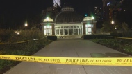A man has died after a stabbing in Allan Gardens park in Toronto Tuesday evening. 