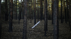 A Russian rocket sticks out of the ground in a forest near Oleksandrivka village, Ukraine, Thursday, Oct. 6, 2022. (AP Photo/Francisco Seco)