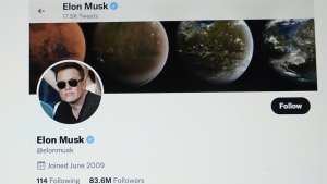 Twitter page of Elon Musk