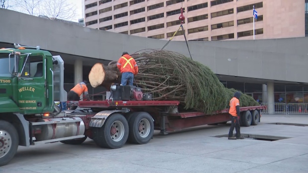 Toronto Christmas tree