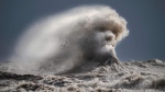 A photograph of a massive wave of Lake Erie on Nov. 16. (Facebook/Cody Evans)