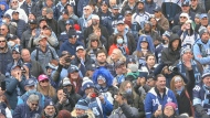 Toronto Argonauts fans watch the team's Grey Cup victory rally at Maple Leaf Square in Toronto on Nov. 24, 2022. 