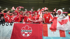 Canada fans, world cup