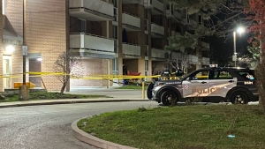Toronto police are investigating after one person was fatally stabbed at 1275 Danforth Ave. on Dec. 6.