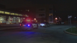 Police are on scene of a fight at a school in Oakville.