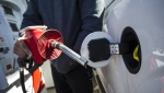 A man prepares to pump gas in Toronto, on April 1, 2019. THE CANADIAN PRESS/Christopher Katsarov