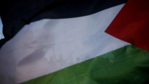 Protesters hold a Palestinian flag in Israel