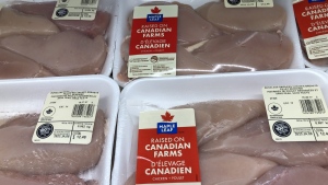Widespread inflation has led to some eye-popping meat prices, but dietitians say there are budget-friendly ways to get enough protein. Packages of chicken breasts by Maple Leaf Foods are shown on a shelf at a grocery store in Oakville, Ont., Friday, Jan.6, 2023. THE CANADIAN PRESS/Richard Buchan