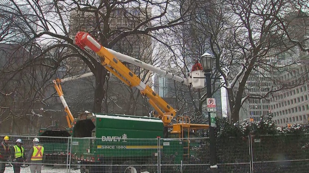 Metrolinx crews start to remove historic trees at Osgoode Hall on Feb. 4, 2023. 