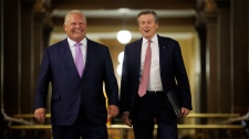 Ford, Tory