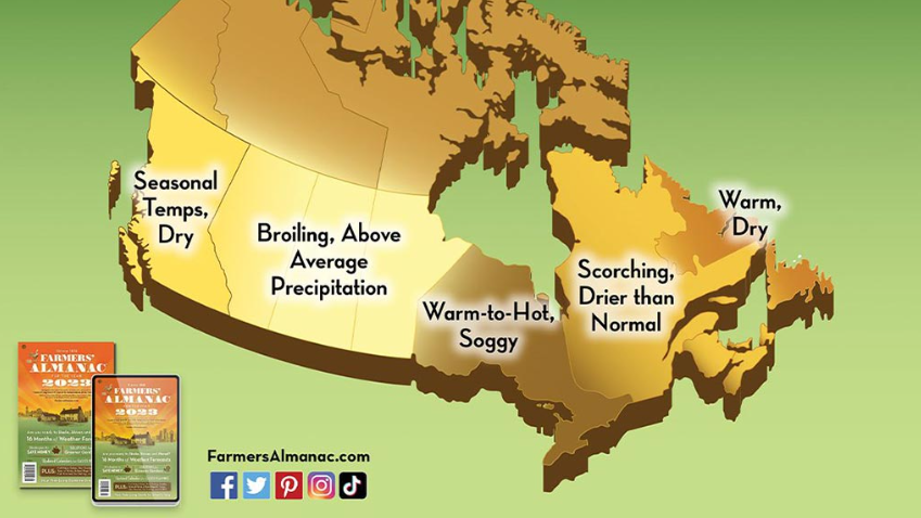 Ontario summer 2023 forecast