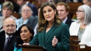 Finance Minister Chrystia Freeland's 2023 federal budget promises “transformative investments” in Canada's green economy and expanded dental care, all while claiming Ottawa can rein in the cost of running the government.