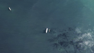 In this satellite photo by Planet Labs PBC, the oil tankers the Oceania, center left, and the Abyss, center right, are seen in the Malacca Strait between Indonesia and Malaysia on Tuesday, March 28, 2023. The Oceania, owned by a major U.S.-traded transportation company, appears to be taking on Iranian crude oil in a key Asian maritime strait in violation of American sanctions, an advocacy group alleges. The firm allegedly involved, Euronav, said Wednesday, March 29, 2023, it will "take appropriate action when necessary." (Planet Labs PBC via AP)