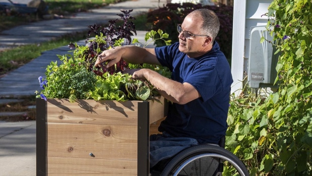 man gardening in Wheelchair Accessible Raised Bed