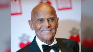 In this Dec. 6, 2014 file photo, Harry Belafonte arrives at the charity gala Ein Herz fuer Kinder (A heart for children) in Berlin. Belafonte is hoping to lead the charge with his ‚ÄúMany to Rivers Cross‚Äù festival, a racial and social justice event debuting Oct. 1-2. It's an extension of his social justice organization Sankofa.org, which Belafonte established in 2013. (AP Photo/Steffi Loos, File)