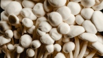 Enoki mushroom caps can be seen in this file photo. (Eva Bronzini/Pexels)