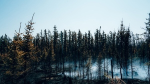 Smoke rises from burning trees near Chapais, in Northern Quebec, on Friday June 2, 2023 in this image provided by the fire prevention agency known as SOPFEU. THE CANADIAN PRESS/HO-SOPFEU Prevention and Communications-Audrey Marcoux **MANDATORY CREDIT **
