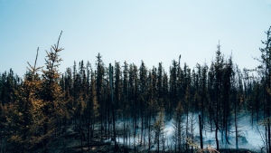Smoke rises from burning trees near Chapais, in Northern Quebec, on Friday June 2, 2023 in this image provided by the fire prevention agency known as SOPFEU. THE CANADIAN PRESS/HO-SOPFEU Prevention and Communications-Audrey Marcoux 