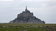 Sheep graze in the fields around the Mont Saint Michel, Wednesday, May 8, 2018, in western France. France’s beloved abbey of Mont-Saint-Michel has reached a ripe old age. It's been 1,000 years since the laying of its first stone. The millennial of the UNESCO World Heritage site and key Normandy tourism magnet is being celebrated until November with exhibits, dance shows and concerts. French President Emmanuel Macron is heading there on Monday, June 5, 2023. (AP Photo/Thibault Camus, File)